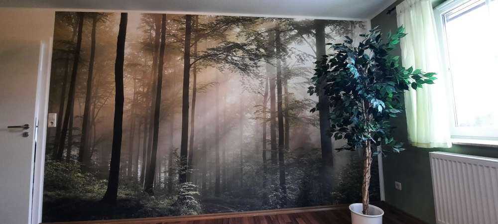 La forêt verte dans le brouillard