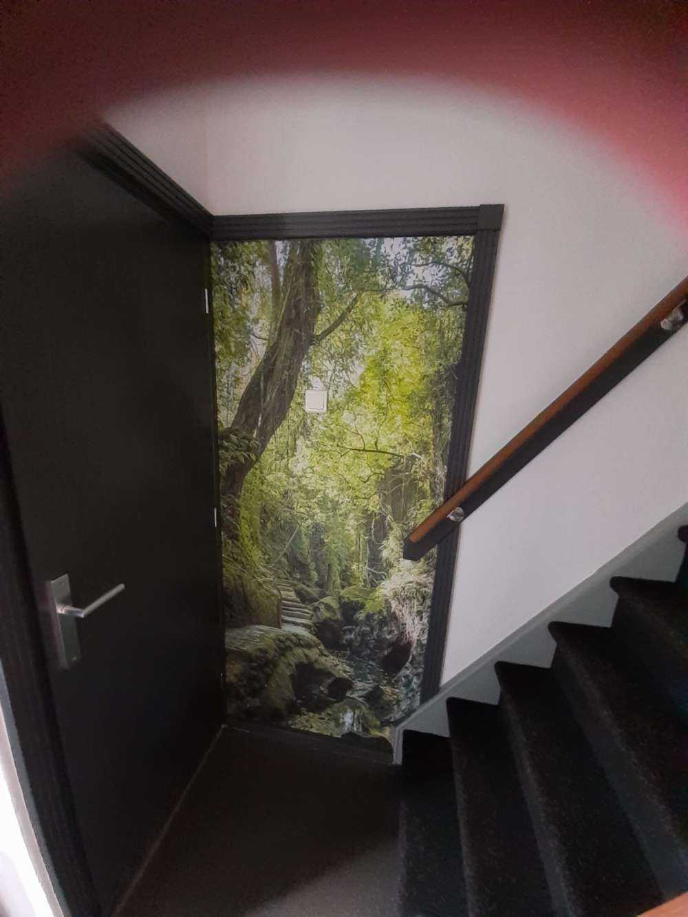Sentier à travers la jungle