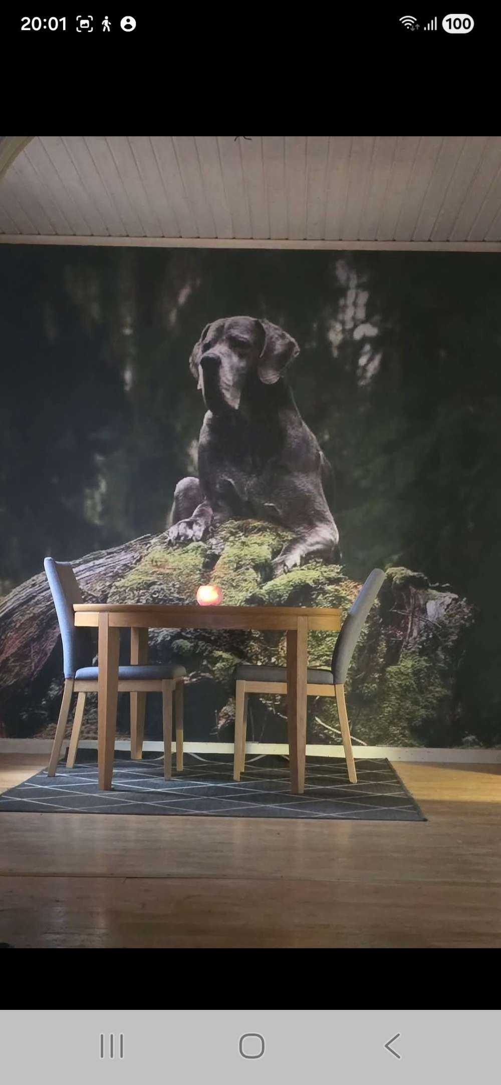Photo Personnalisé