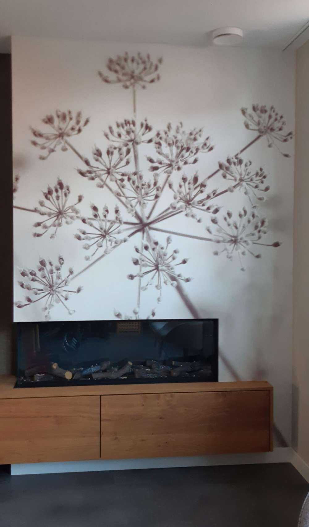 Cerfeuil sauvage en gros plan