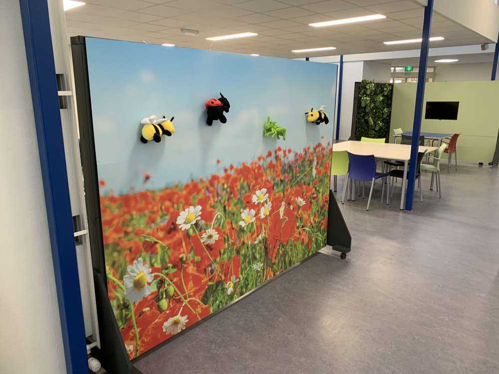 Coquelicots et marguerites