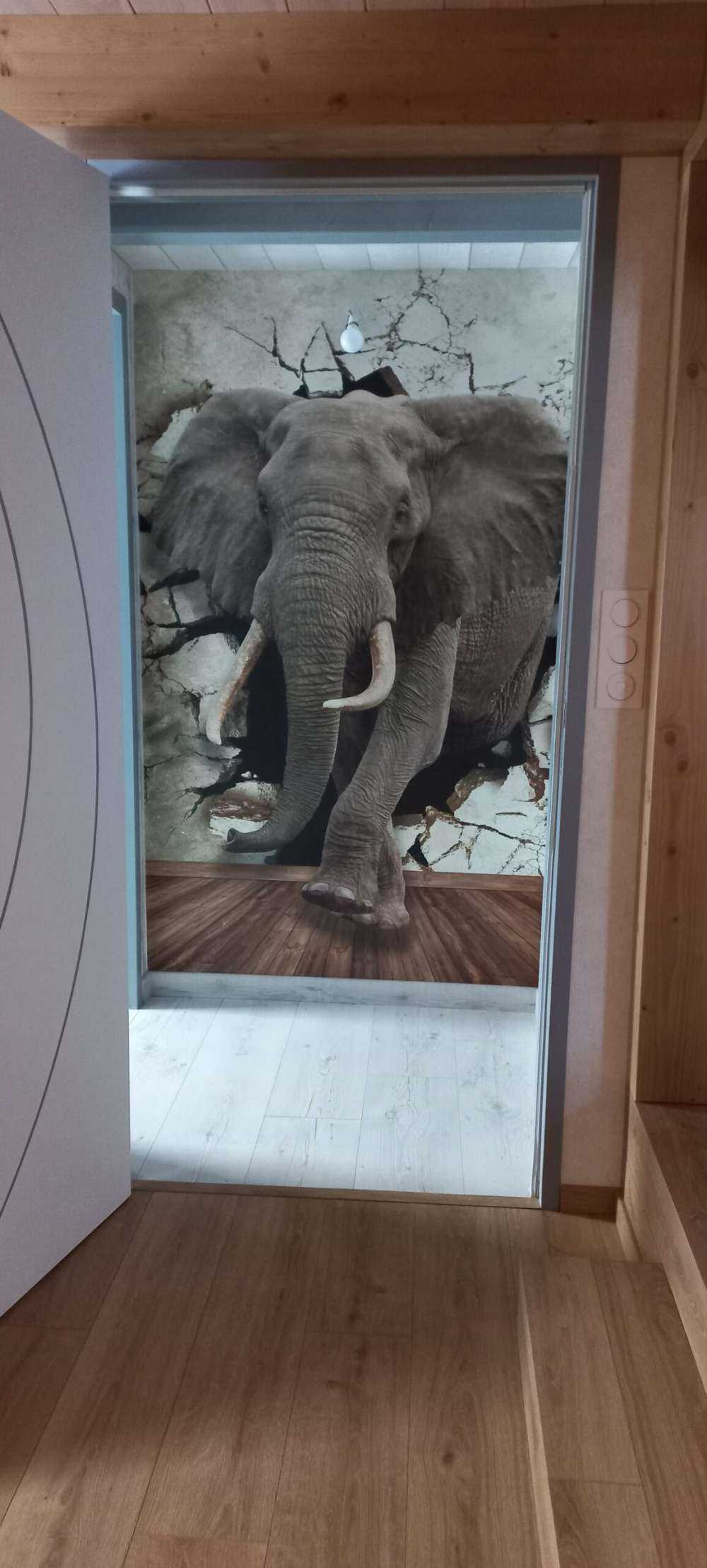Grand éléphant hors du mur