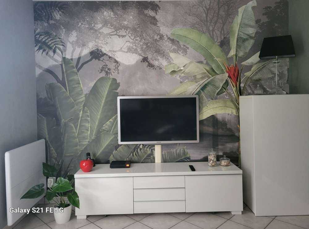 Arbres sous les tropiques