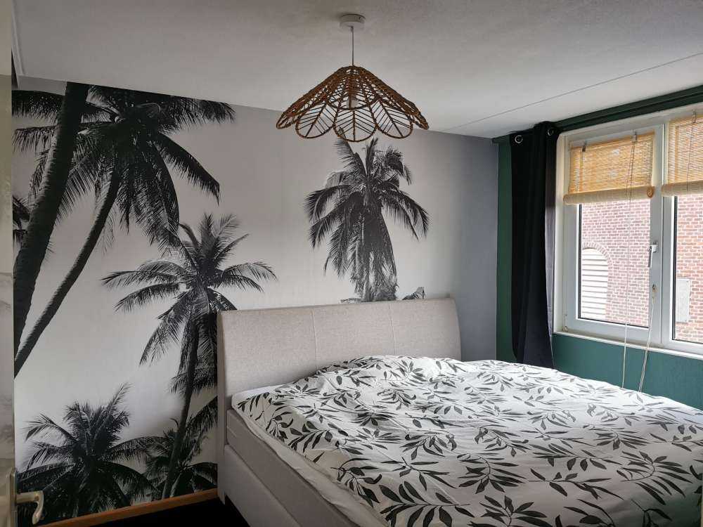 Palmiers en noir et blanc