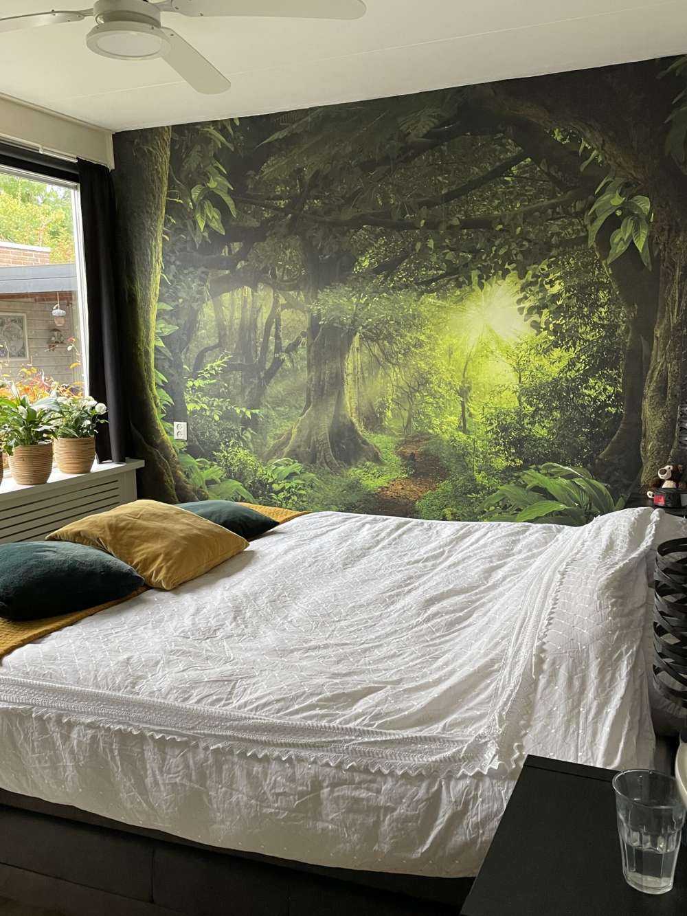 Jungle tropicale avec lumière du soleil