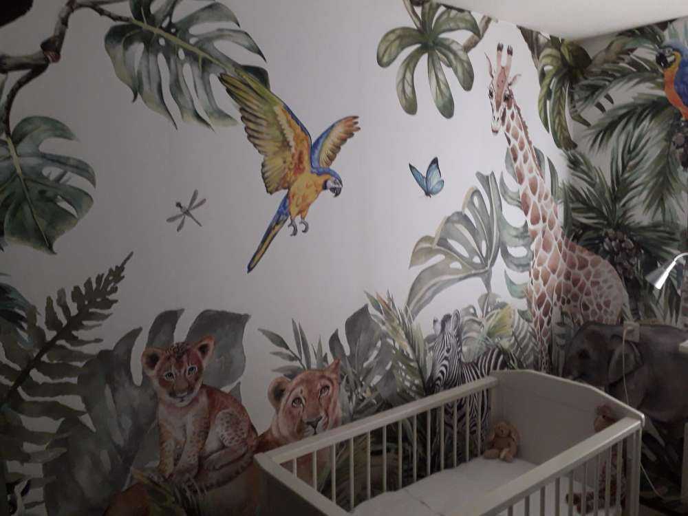 Animaux sauvages de la jungle
