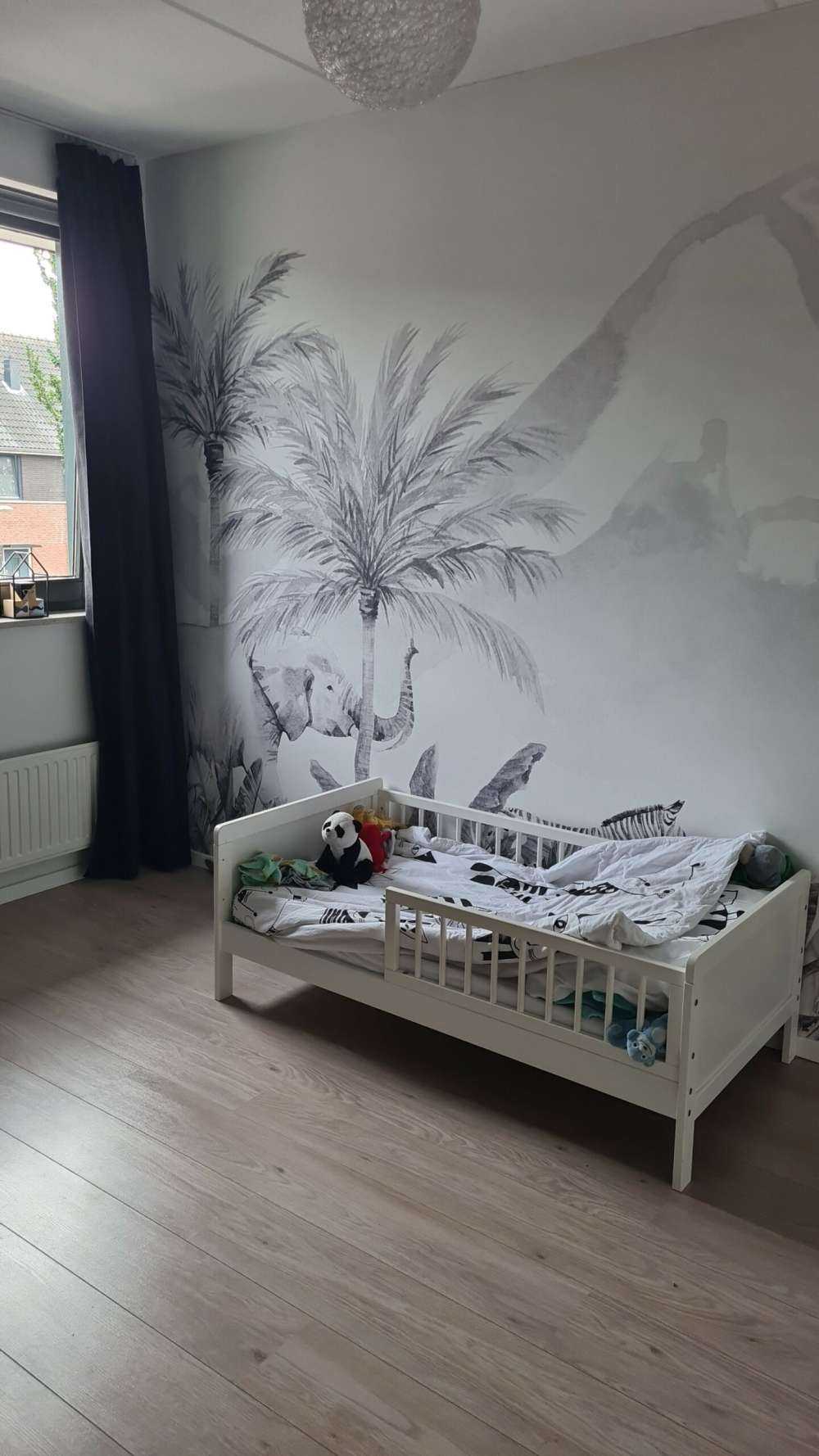 Animaux de la jungle en noir et blanc