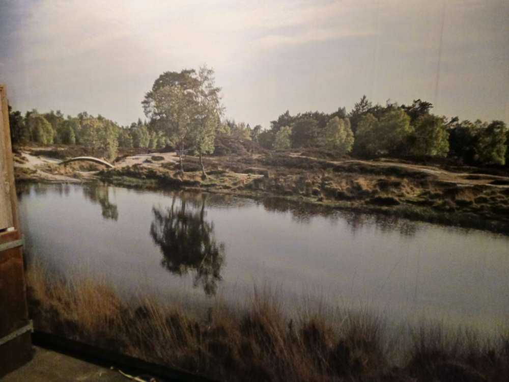Un petit lac forestier dans la bruyère