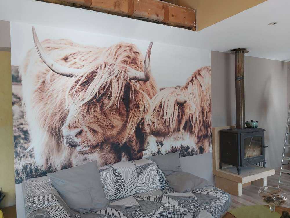 Deux Highlands écossais