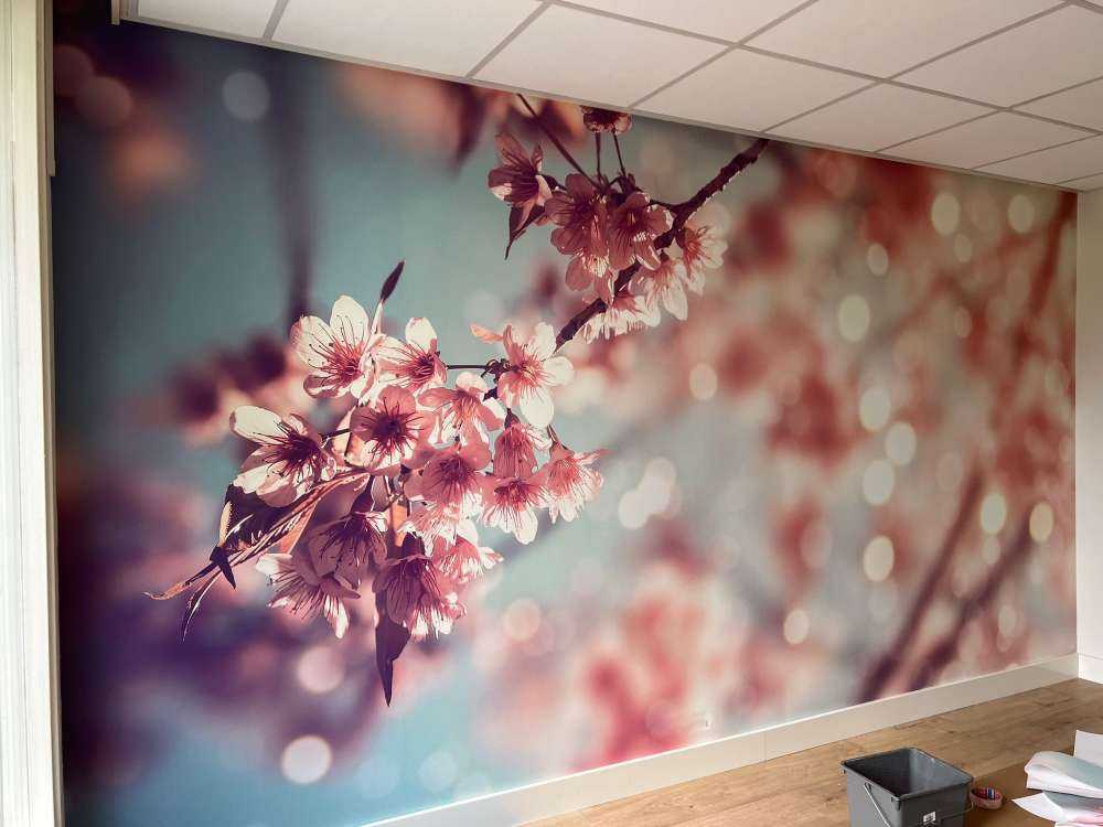 Gros plan sur la branche fleurie