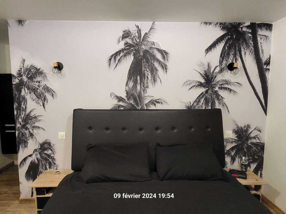 Palmiers en noir et blanc