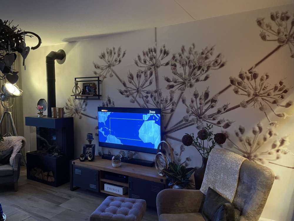 Cerfeuil sauvage en gros plan