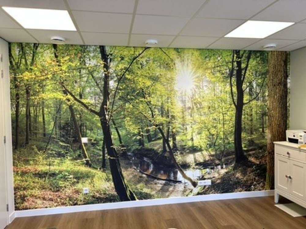 Forêt avec un ruisseau