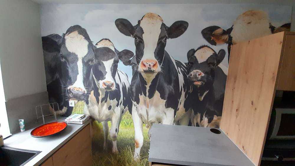 Troupeau de vaches