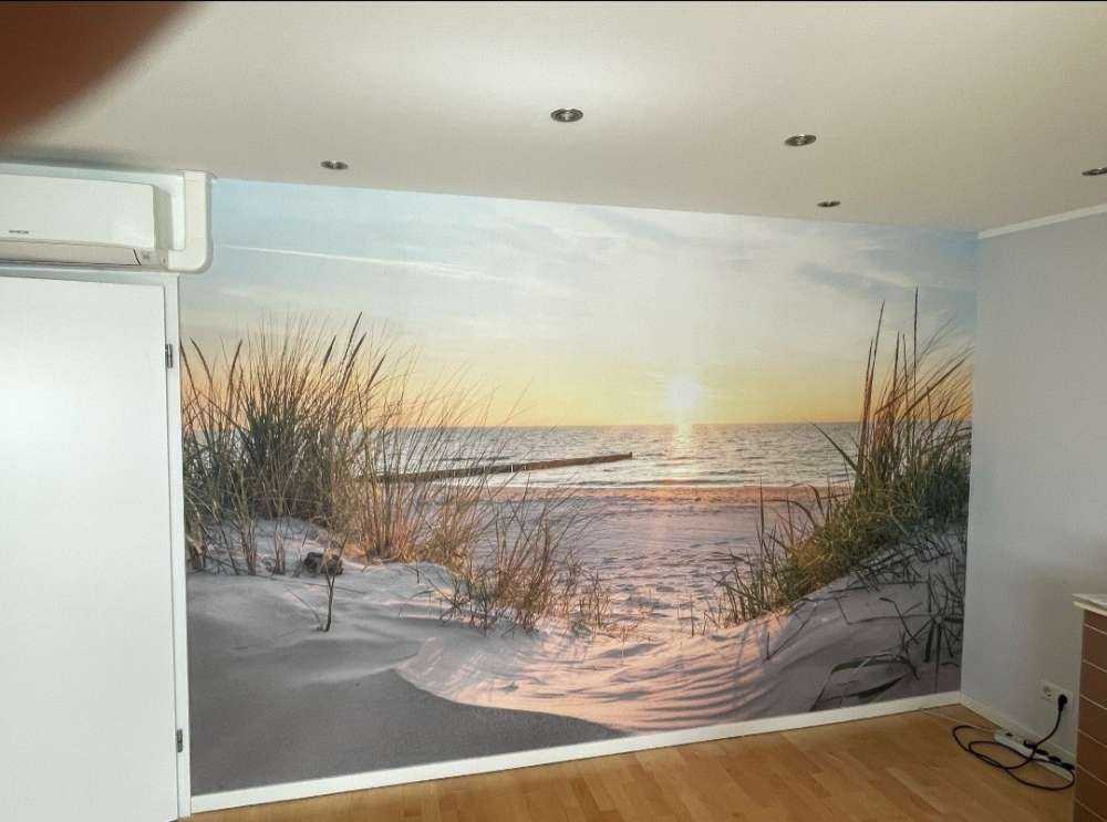 Plage de dunes avec coucher de soleil