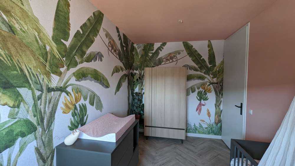 Jungle avec des animaux colorés