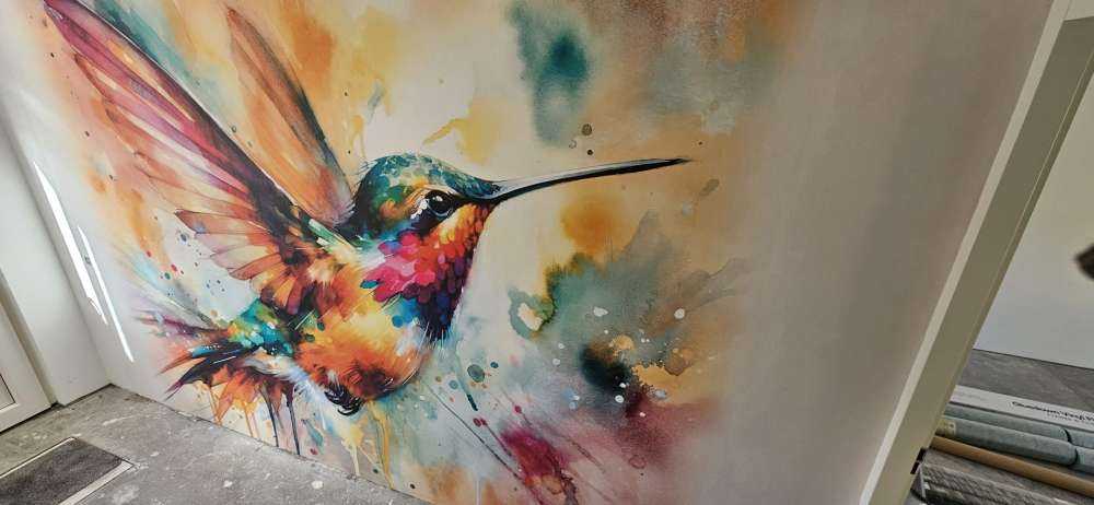 Colibri iridescent en plein vol