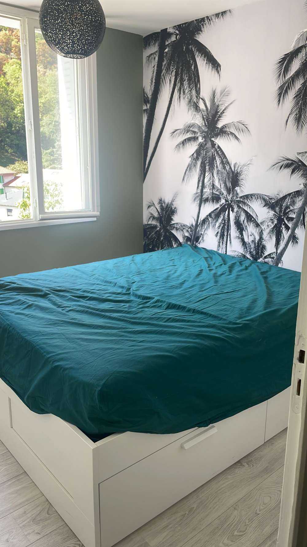 Palmiers en noir et blanc