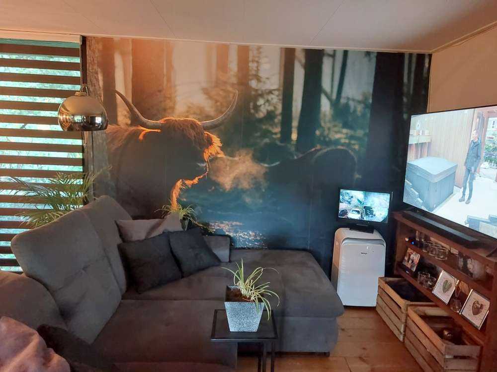 Le Highlander écossais au lever du soleil