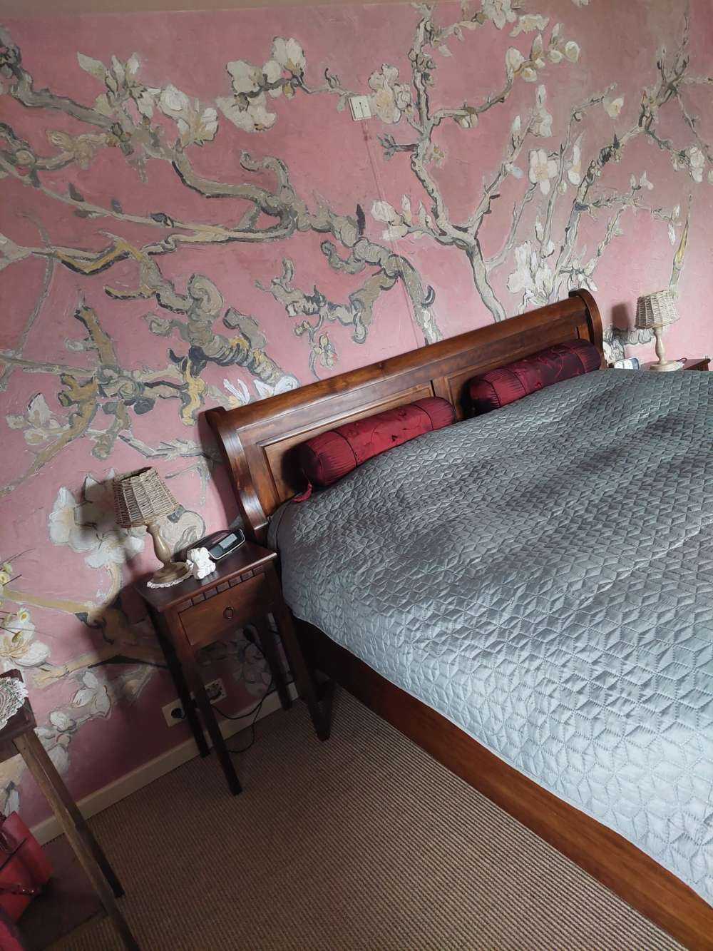 Fleur d'amandier colorée