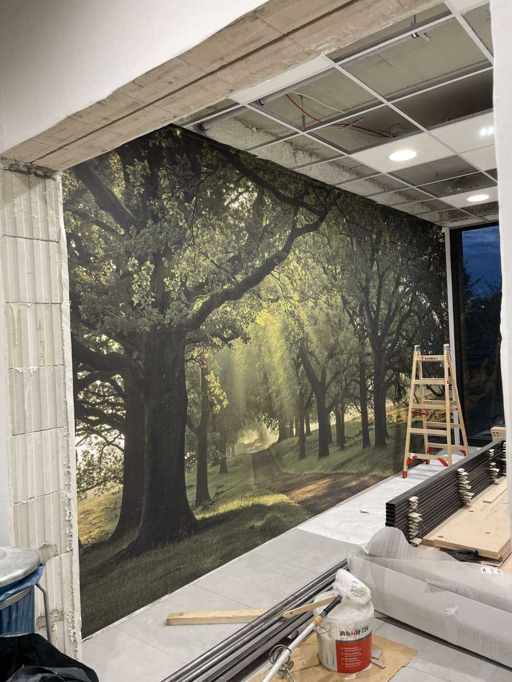 Chemin entre les chênes