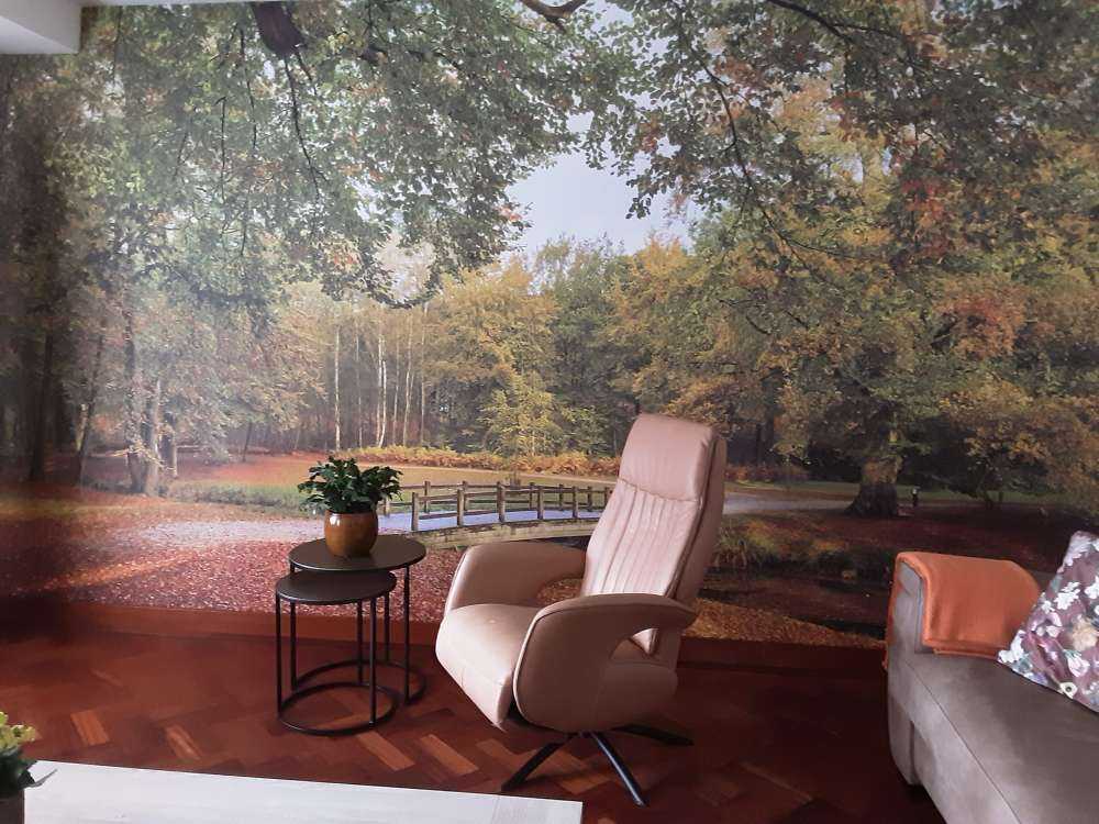 Un pont dans la forêt