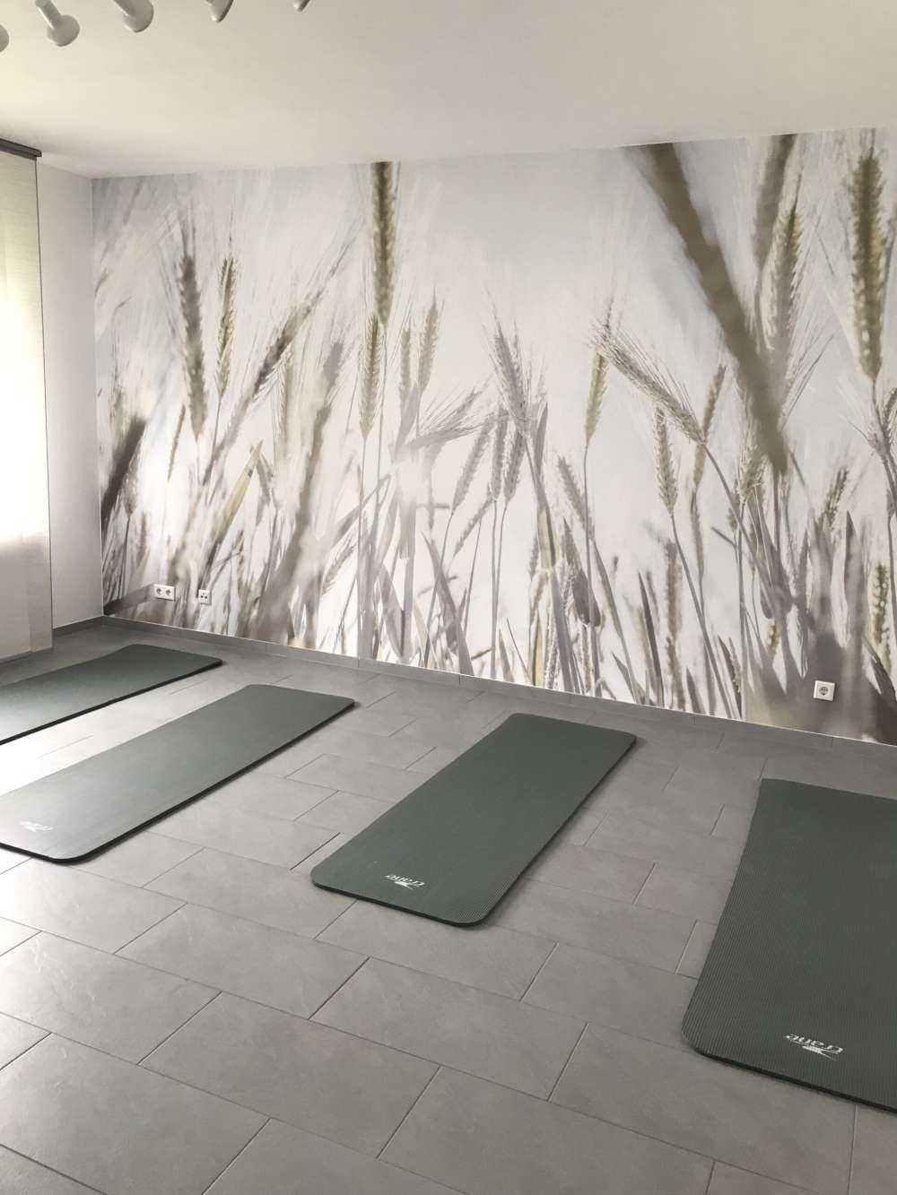 Des rayons de soleil à travers le blé