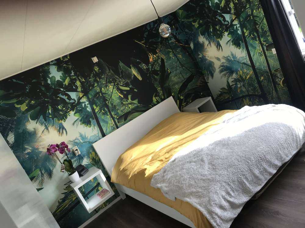 Une jungle mystérieuse
