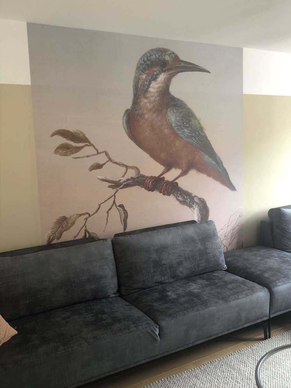 Martin-pêcheur peinture