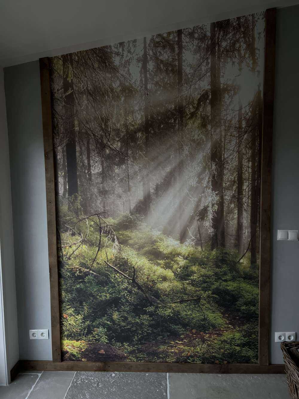 Forêt d'automne ensoleillée