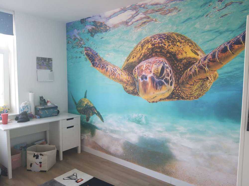 Tortue de mer dans l'océan