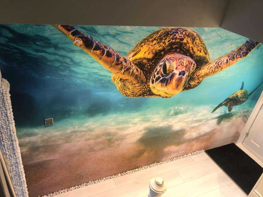Tortue de mer dans l'océan