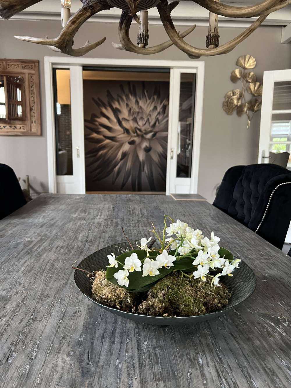 Fleur de dahlia noir et blanc