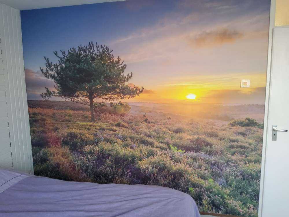 Coucher de soleil sur la lande