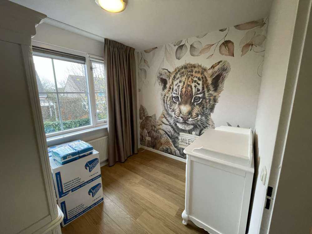 Bébé Tigre dans la jungle taupe