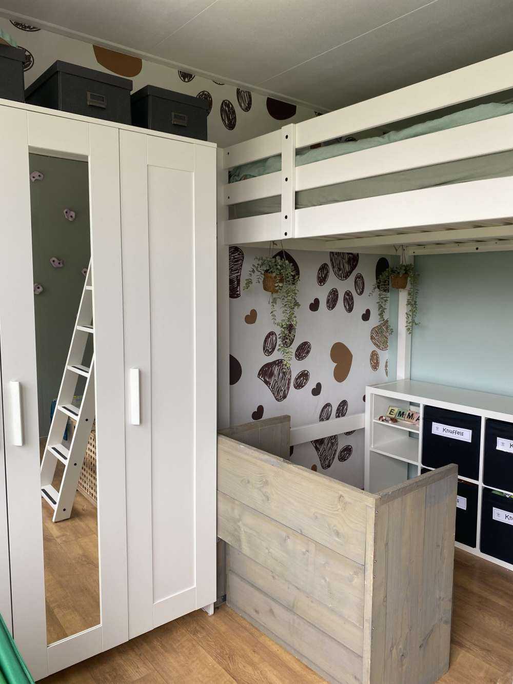 Pieds de chiens bruns