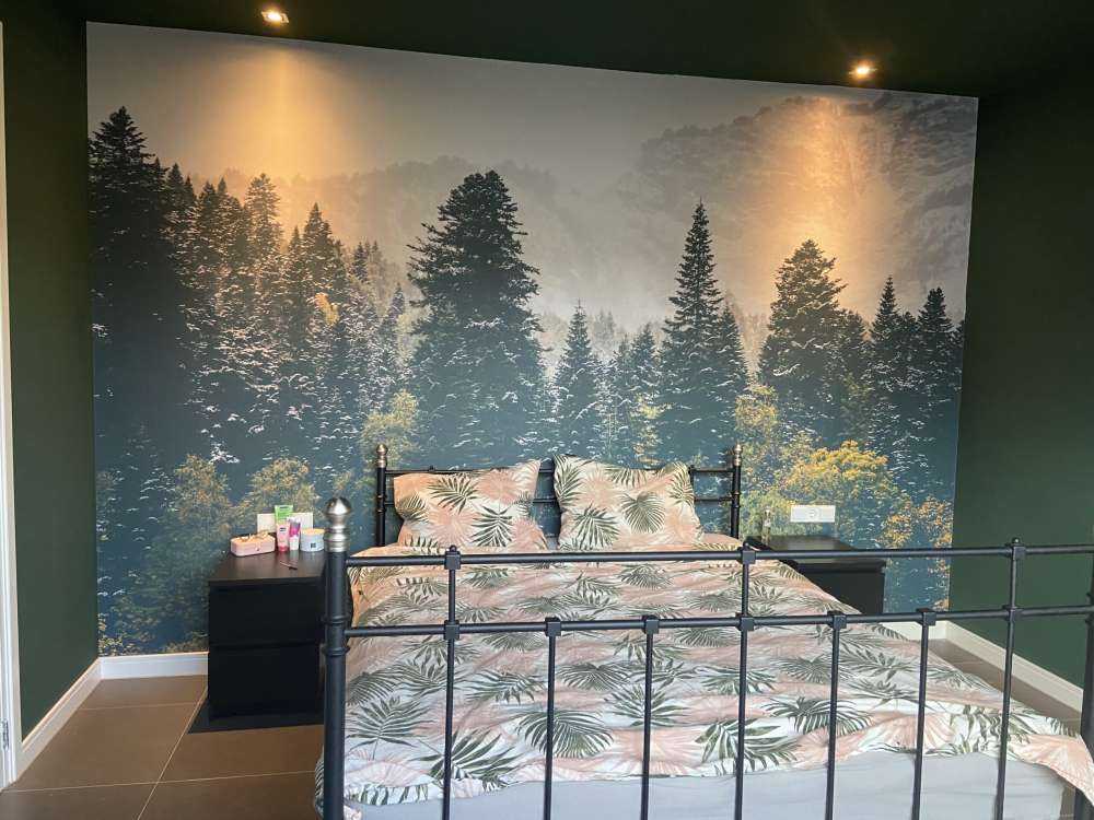 Forêt de conifères