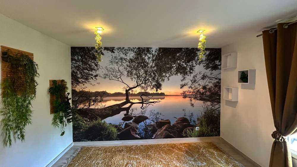 Lake view