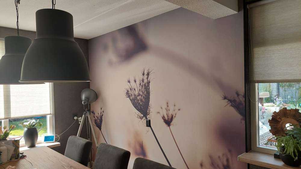 Reflet de plantes