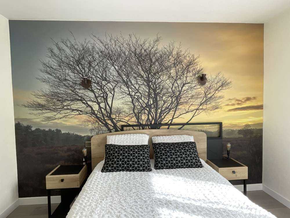 Lever de soleil sur la lande