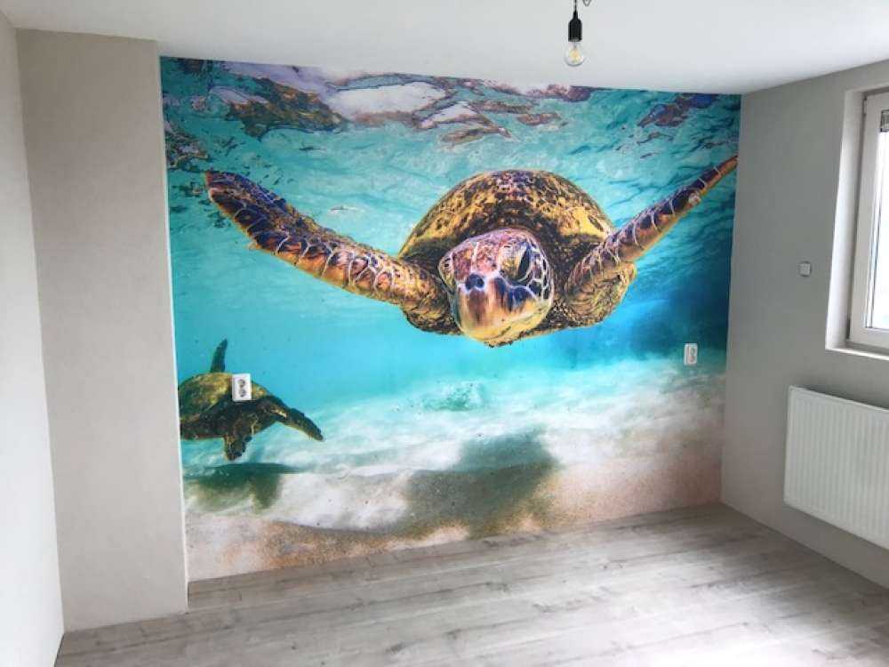 Tortue de mer dans l'océan