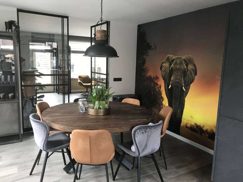 Eléphant au coucher du soleil