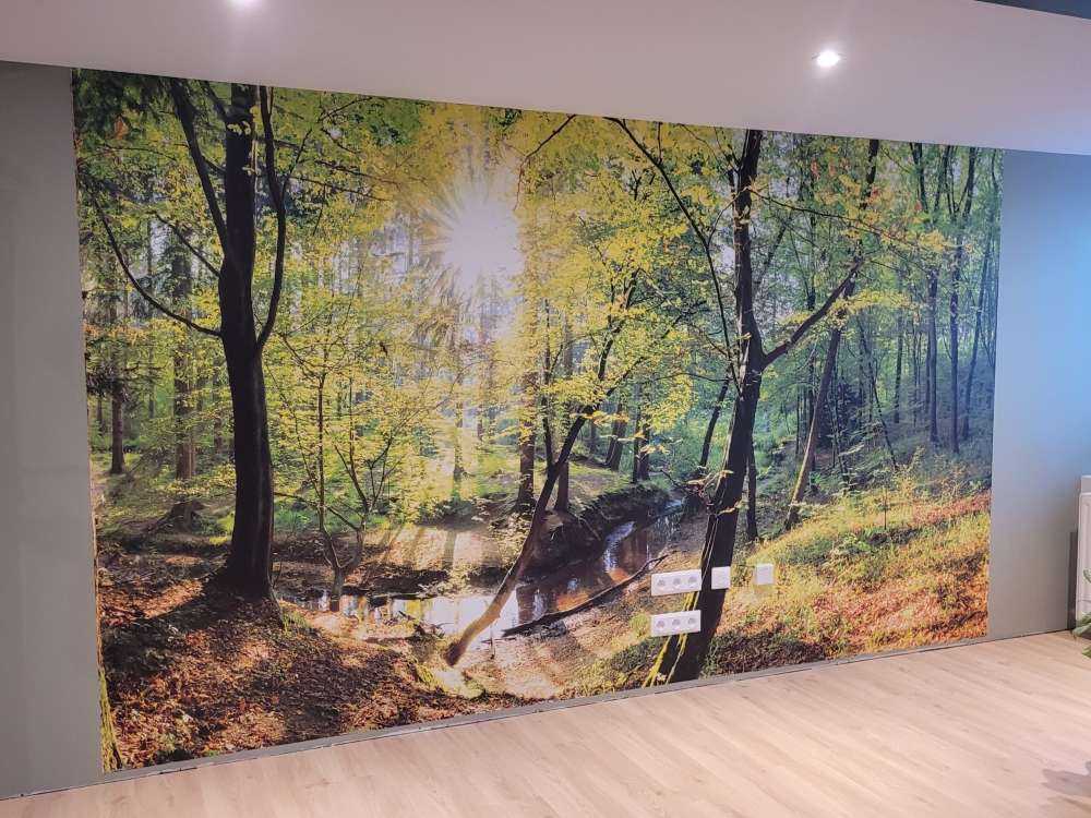 Forêt avec un ruisseau