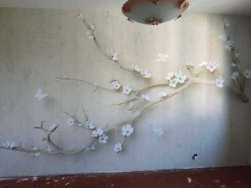 Branche avec fleurs blanches sur un fond en bois