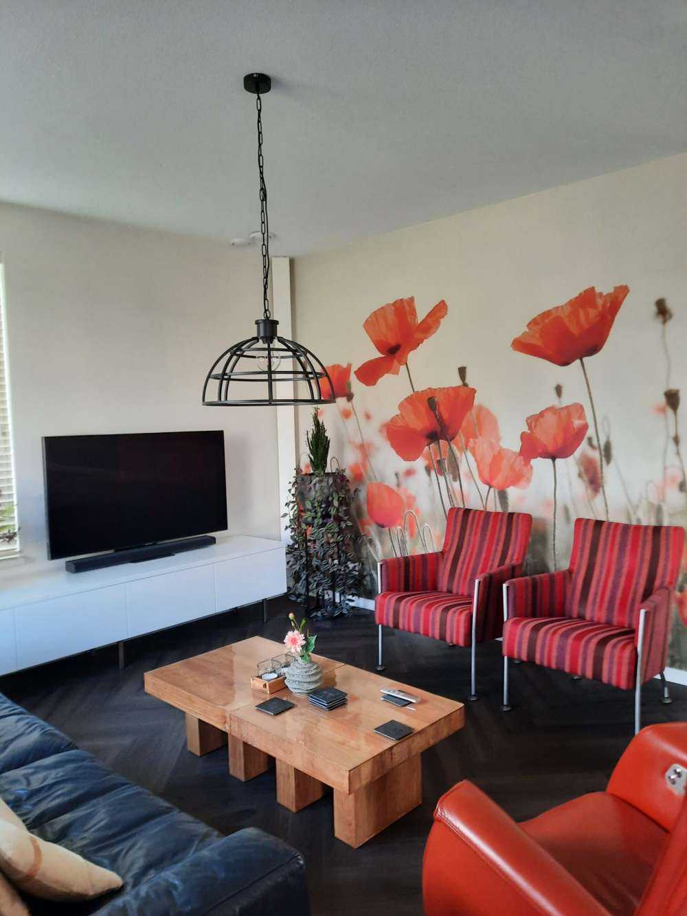 Coquelicots aux couleurs vintage