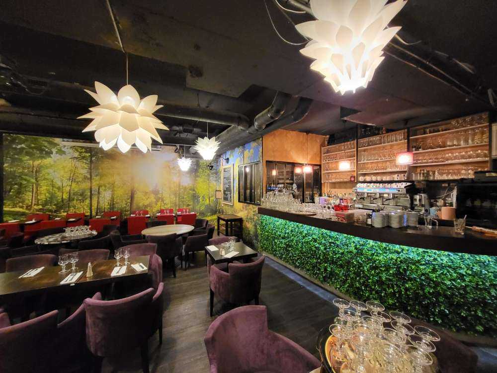 Une forêt avec des rayons de soleil