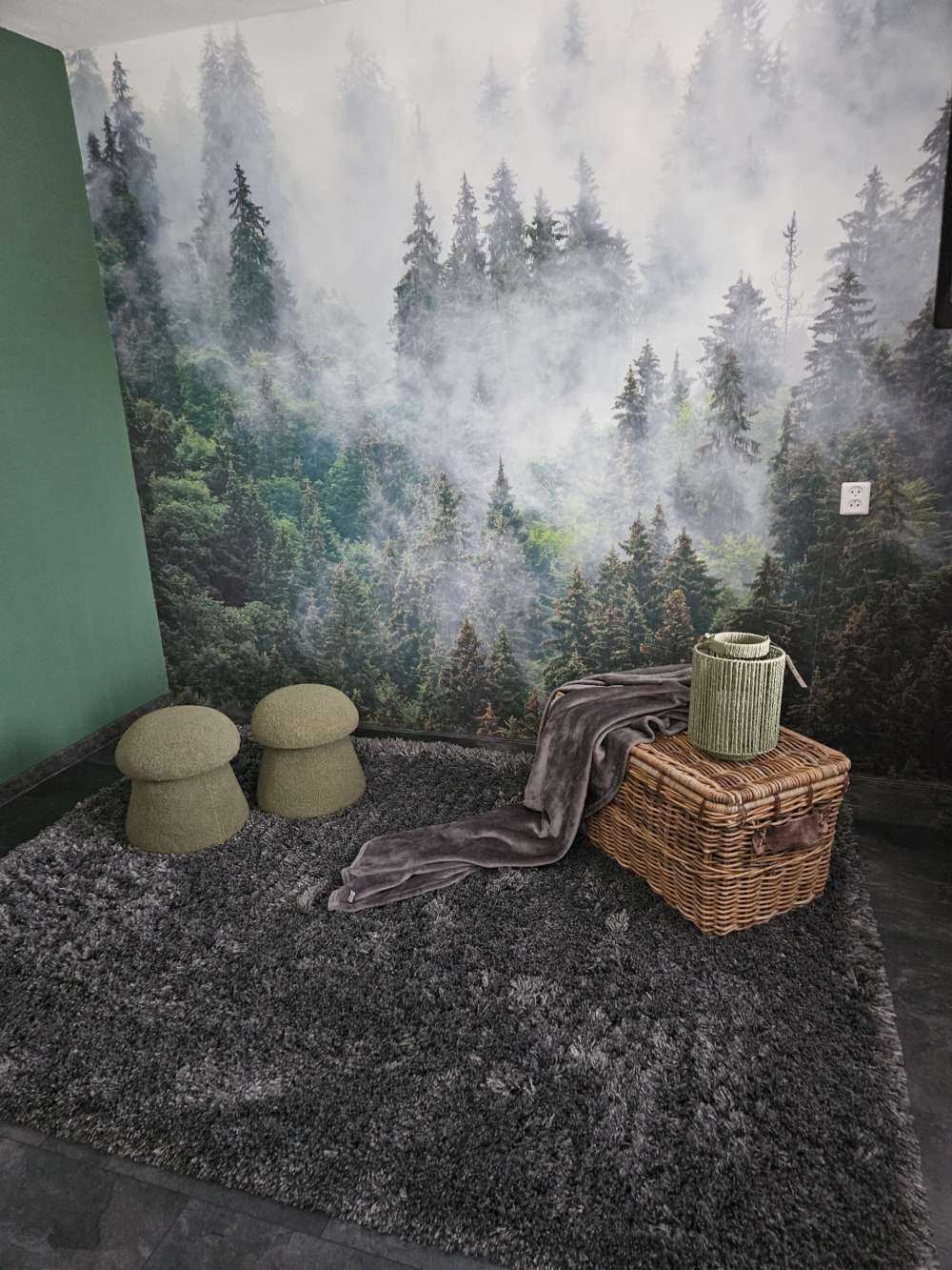 Paysage brumeux avec des arbres verts