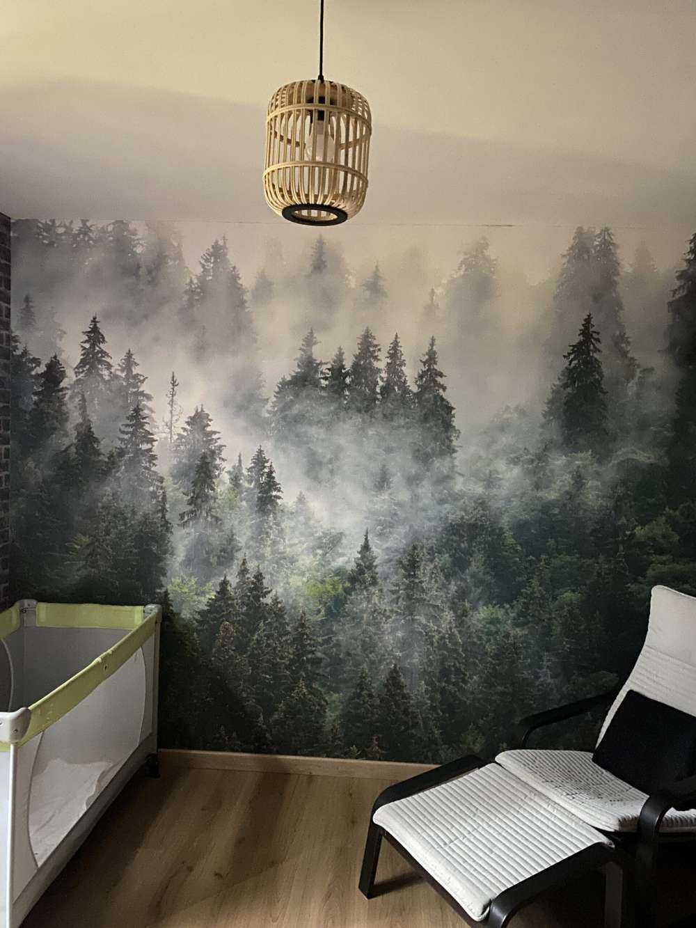 Paysage brumeux avec des arbres verts