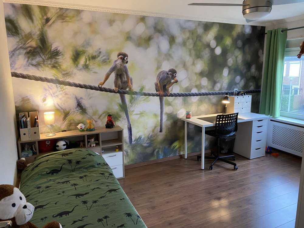 Singes écureuils sur corde