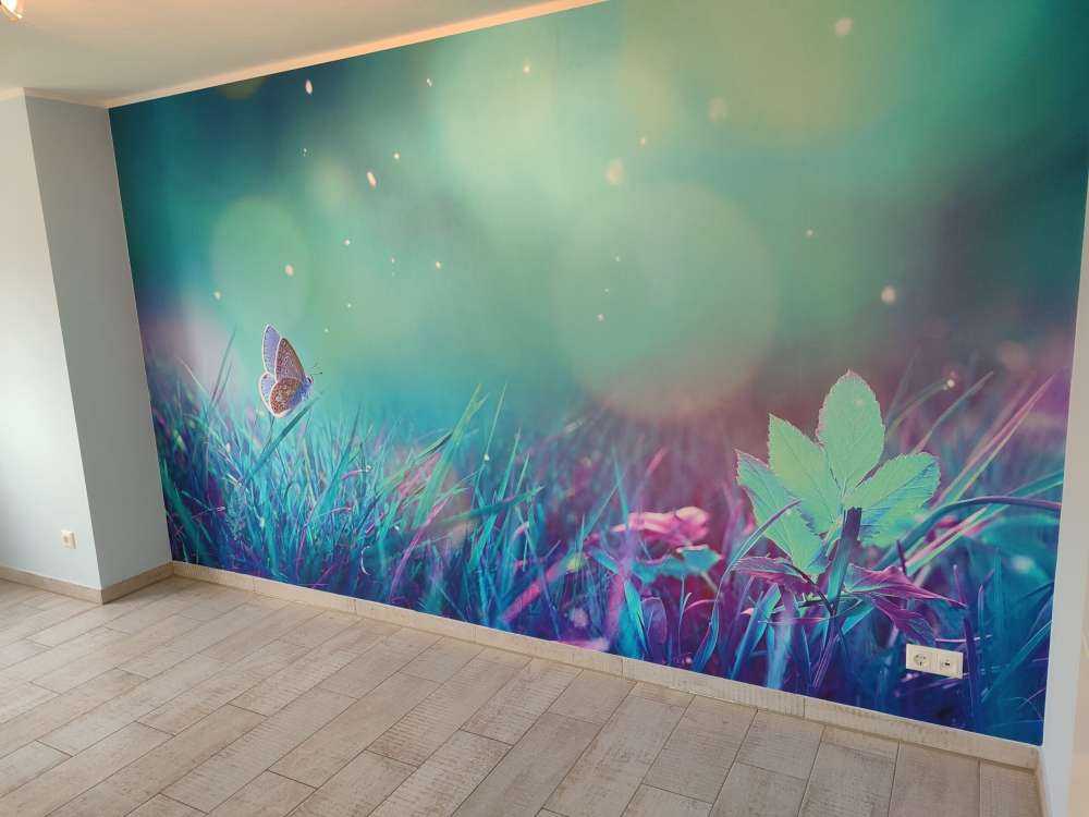 Papillon dans la rosée du matin